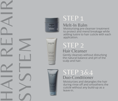Hair Repair System