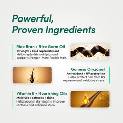 Rice bran oil, gamma oryzanol and vitamin E